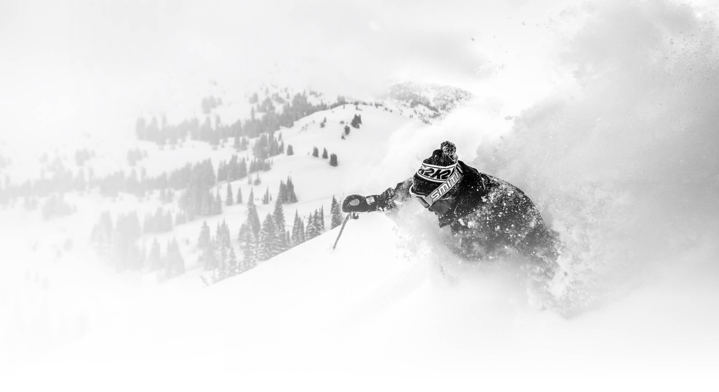 2015 - 2016 Season - Alta Ski Area
